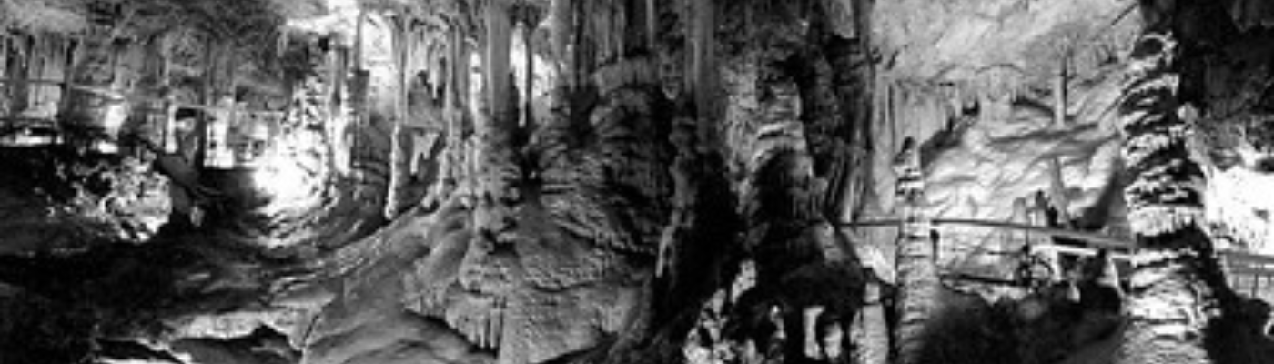 Profile banner image for RileyLaurens