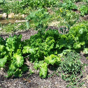 Profile avatar image for Misanthrope99