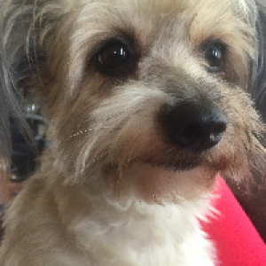 Profile avatar image for HollisMcGee