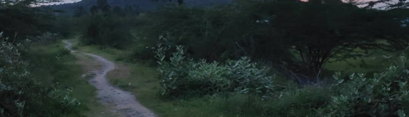 Profile banner image for WriterAtHeart