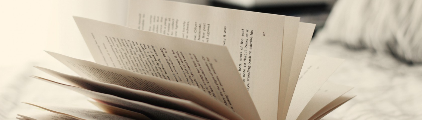 Profile banner image for FireLance