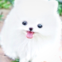 Profile avatar image for missSparkles