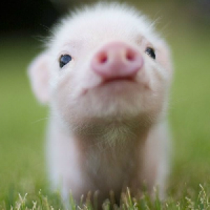 Profile avatar image for emcginley