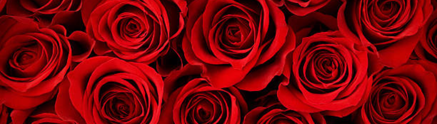 Profile banner image for n311ys