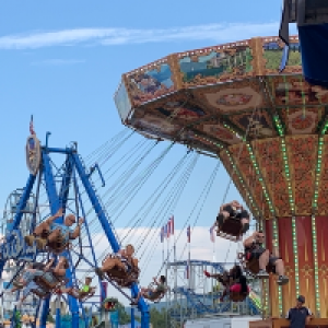 Profile avatar image for KnotRapunzel