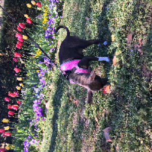 Profile avatar image for nylekalb