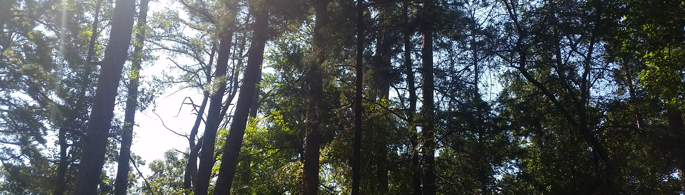 Profile banner image for kaylawelch1500