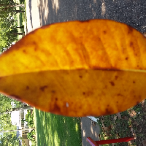 Profile avatar image for kaylawelch1500