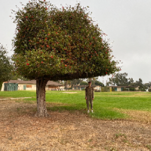 Profile avatar image for empty_spaces