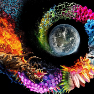 Profile avatar image for misterRHYS