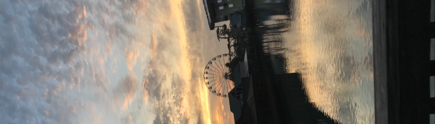 Profile banner image for Trail