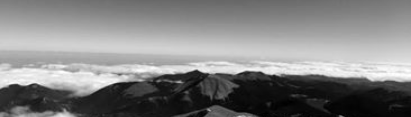 Profile banner image for LiviTrue