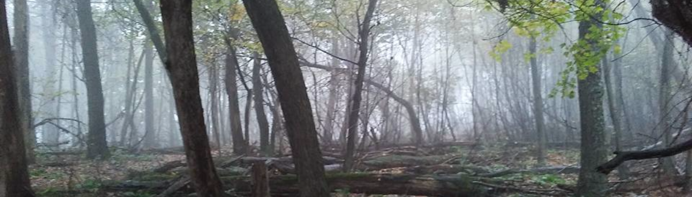 Profile banner image for QuoteMe