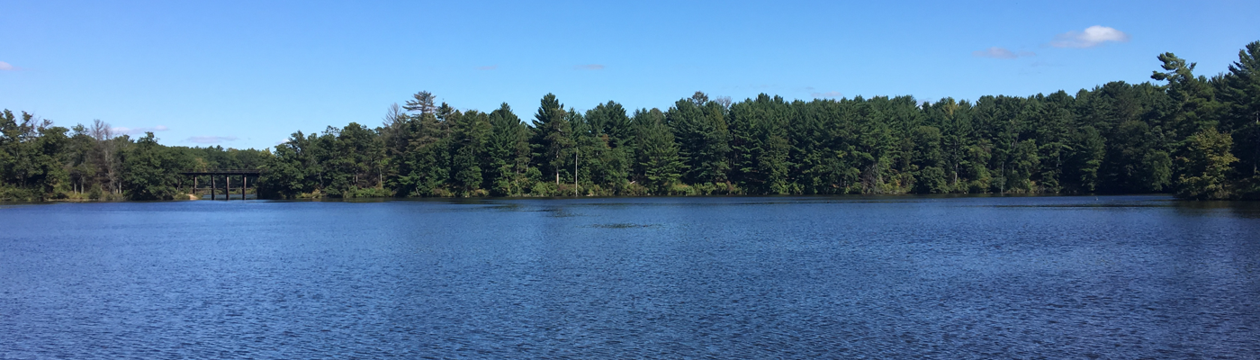 Profile banner image for Kellianne