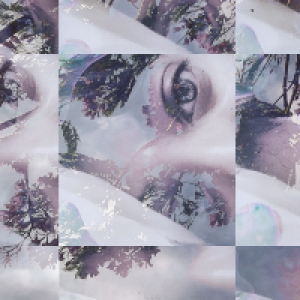 Profile avatar image for petrichorclouds