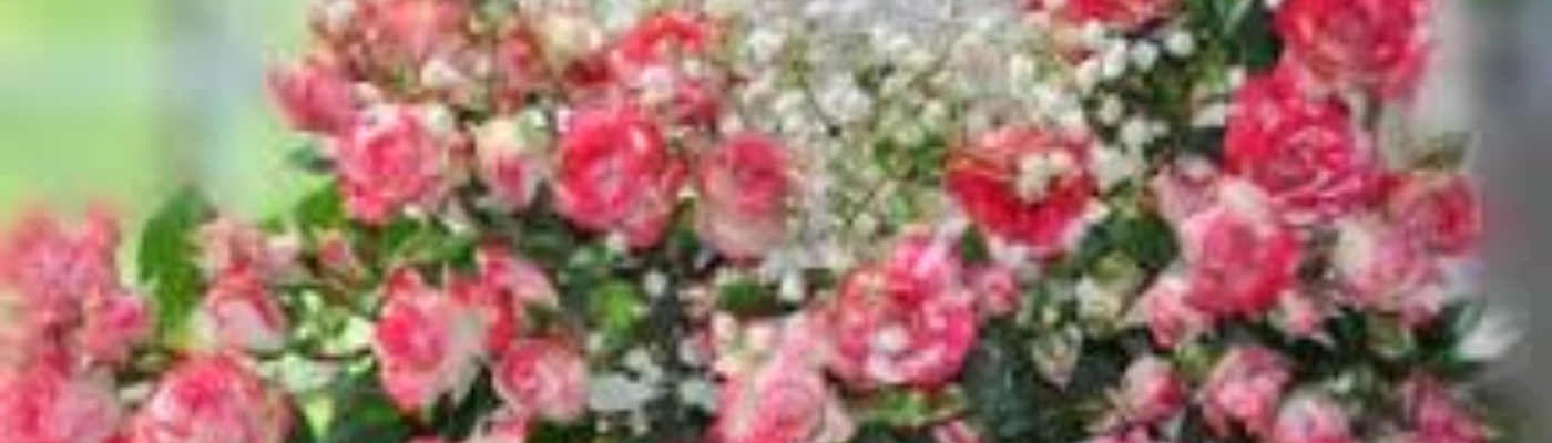 Profile banner image for ZGWrite