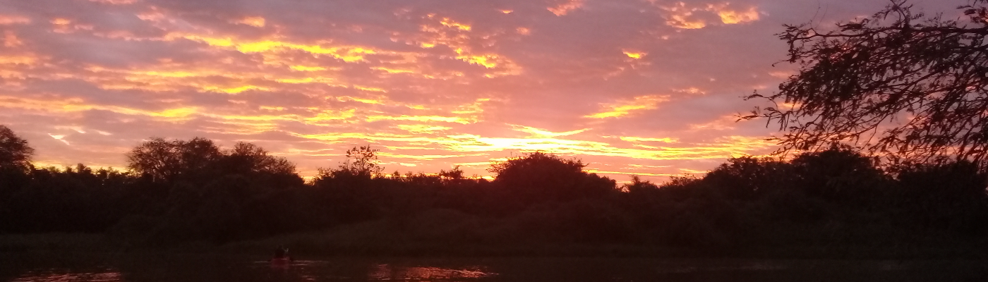 Profile banner image for BXtr