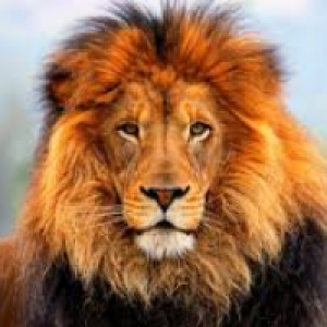 Profile avatar image for RachelGray