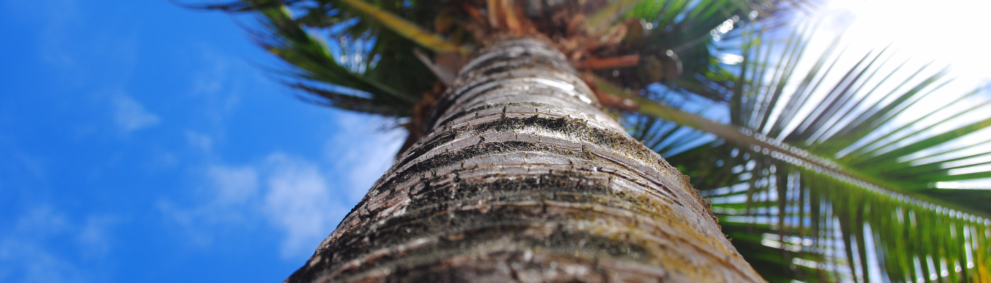 Profile banner image for wordvom