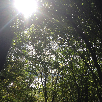 Profile avatar image for laineycos