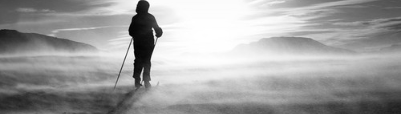 Profile banner image for WordCatch