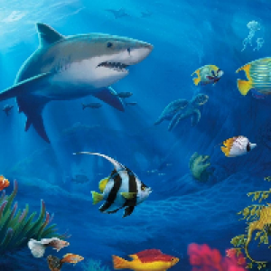 Profile avatar image for IndigoShark