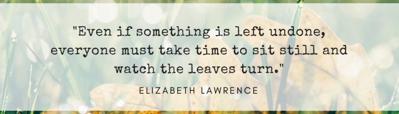 Profile banner image for Chel73