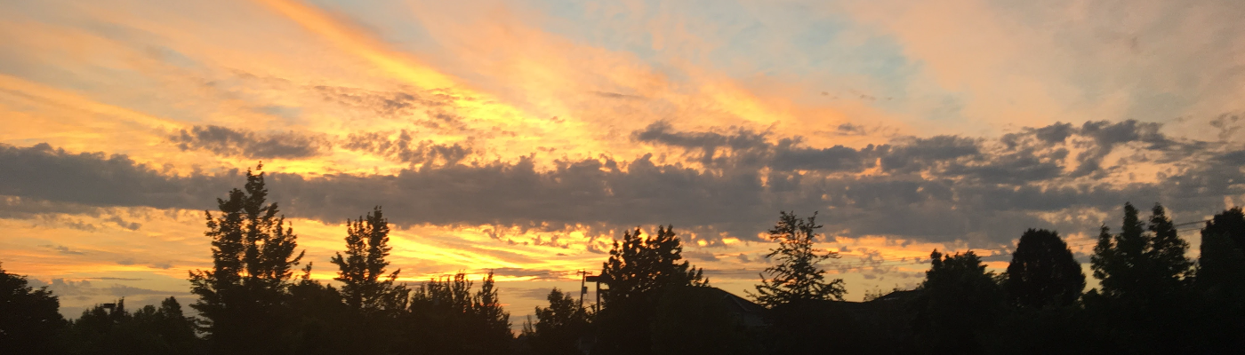 Profile banner image for Lapo12