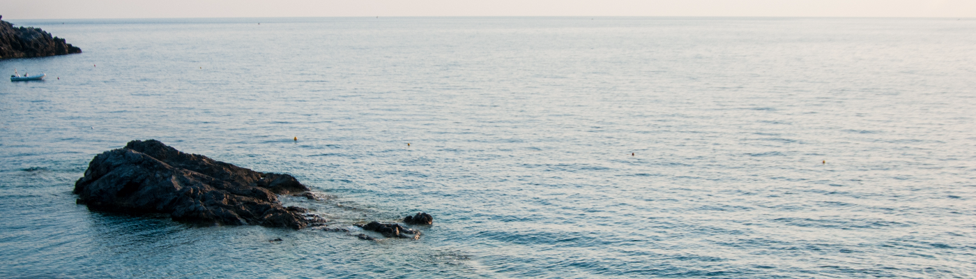 Profile banner image for Jones