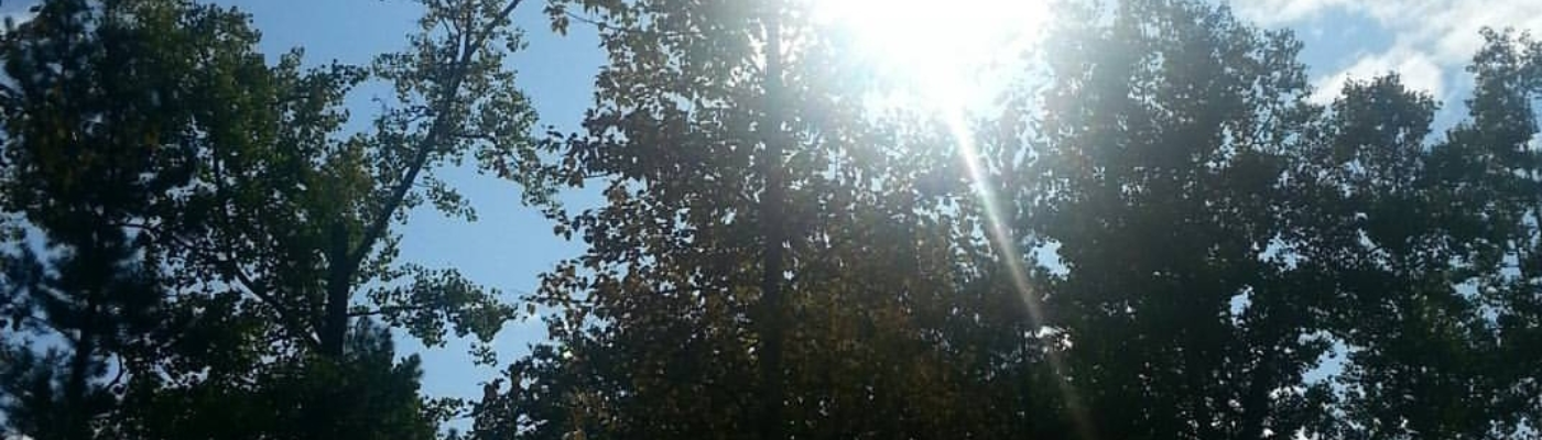 Profile banner image for PrincessB