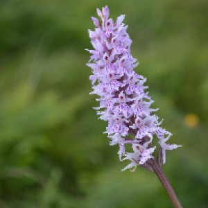 Profile avatar image for kmwoods