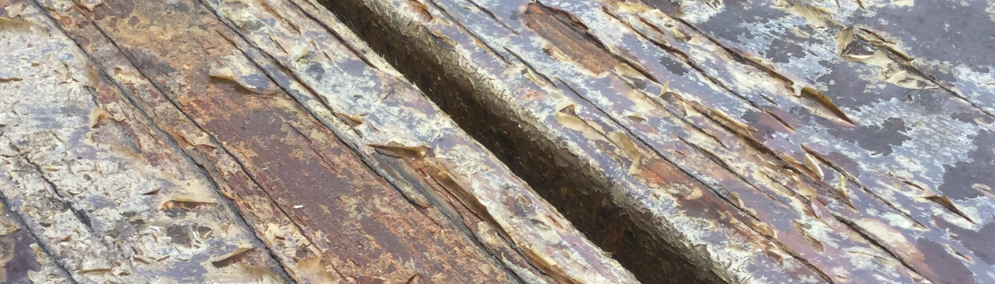 Profile banner image for JadeMcClure