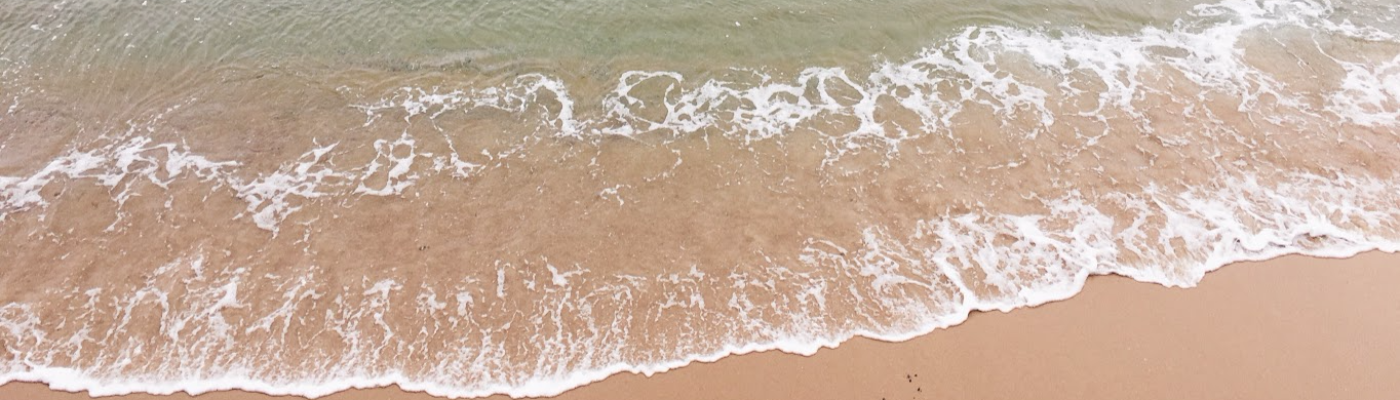 Profile banner image for tianaconnelly