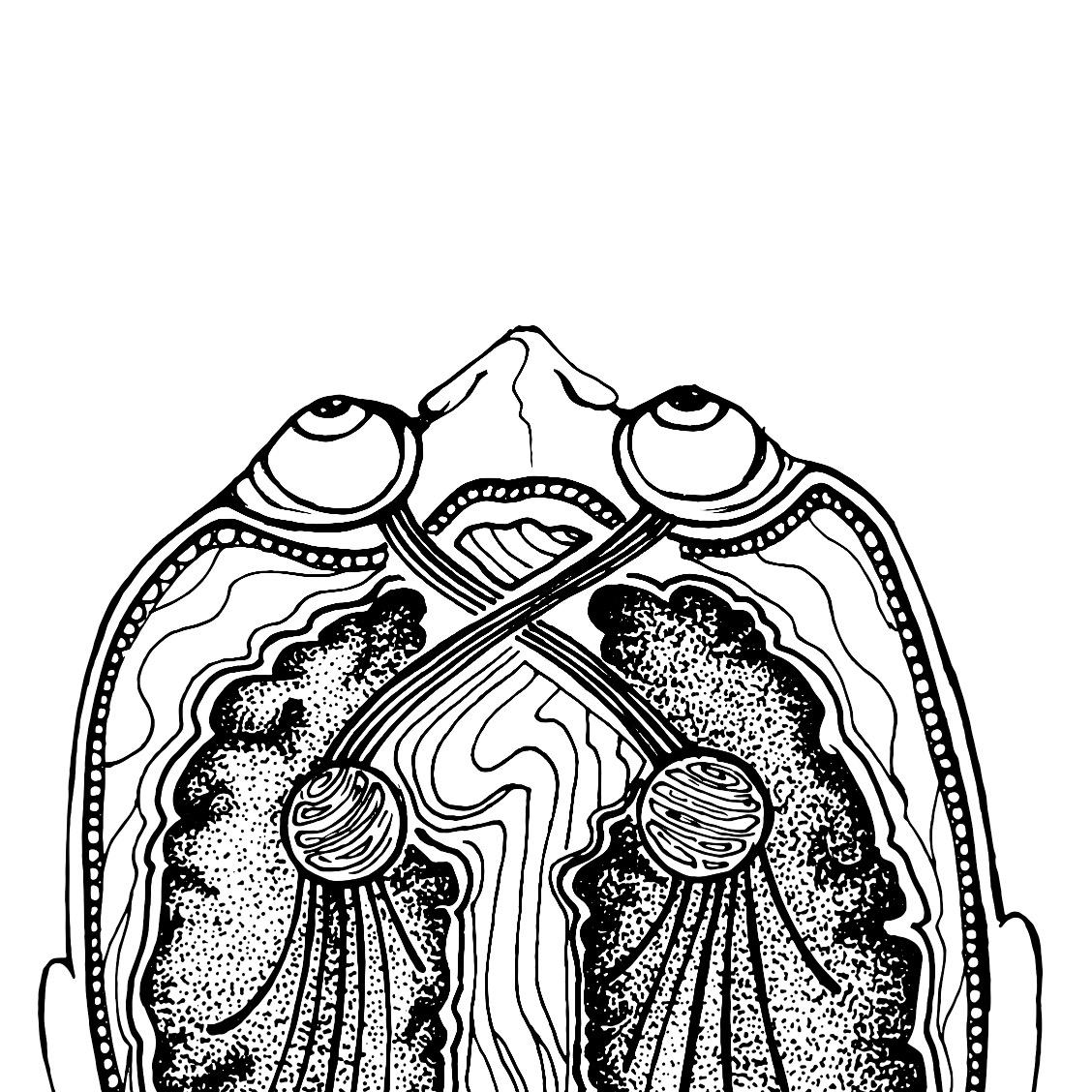 Profile avatar image for marg_rita