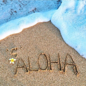 Profile avatar image for hometown