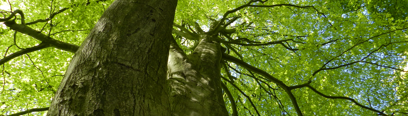 Profile banner image for katemac