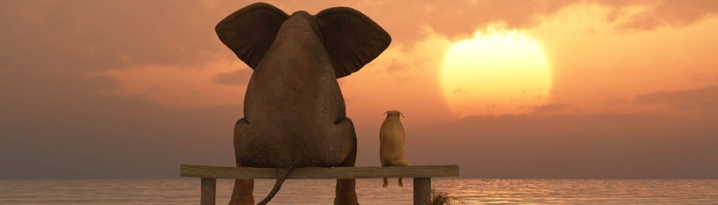 Profile banner image for coldsyrup