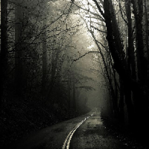 Profile avatar image for Mysteries61