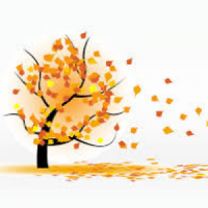 Profile avatar image for voiceinthewind