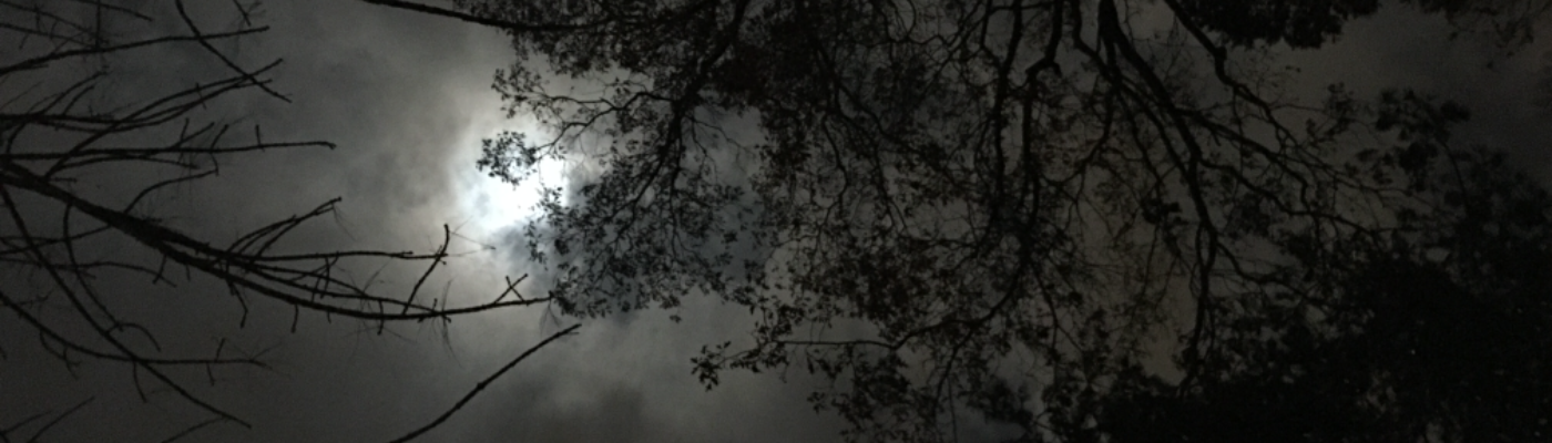 Profile banner image for OdedaLazar