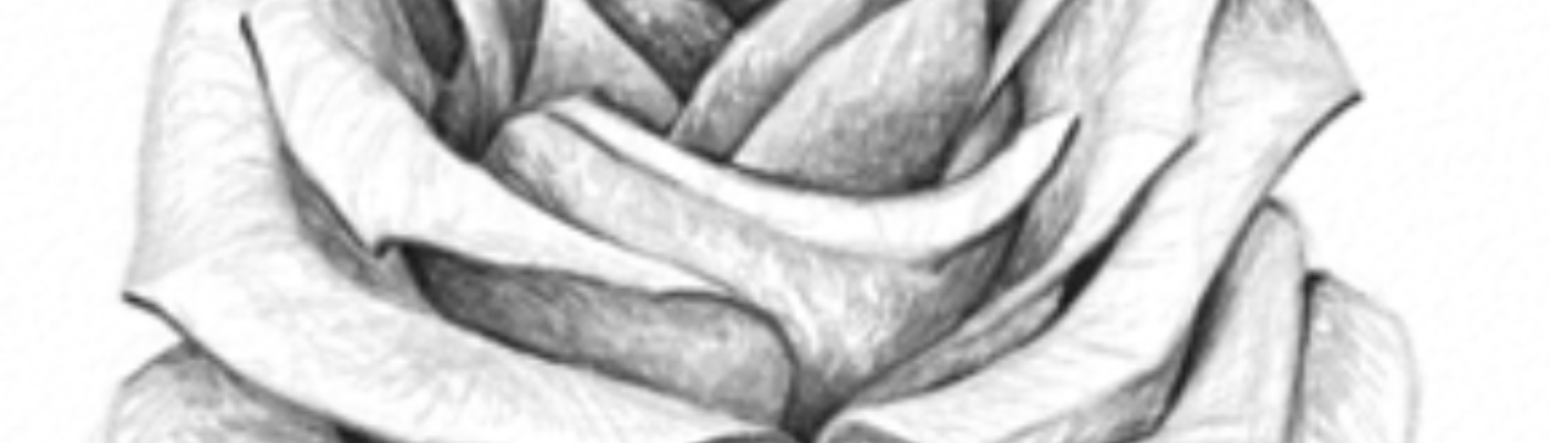 Profile banner image for SierraRoseMae