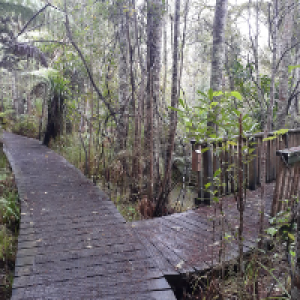 Profile avatar image for davidpc