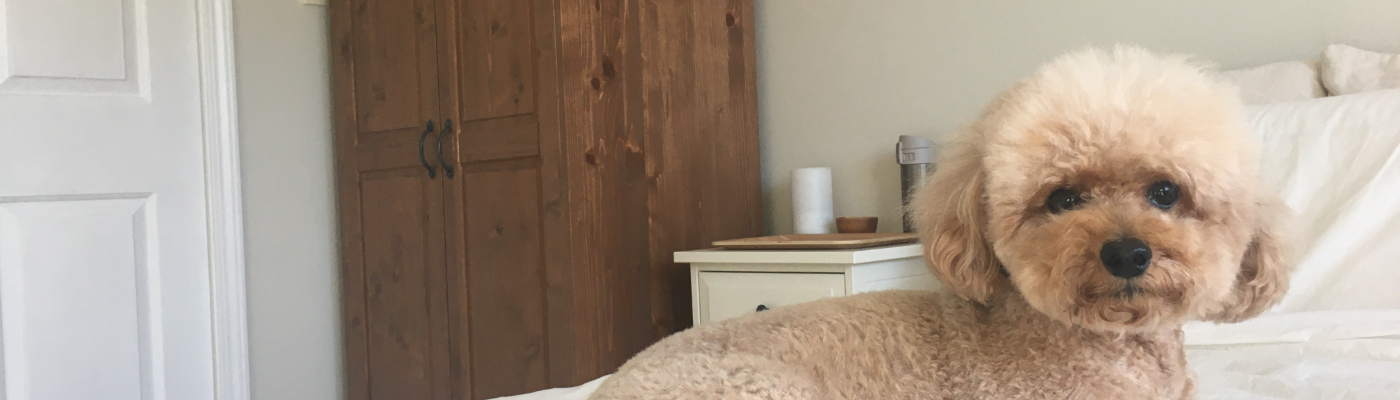 Profile banner image for kristyseren