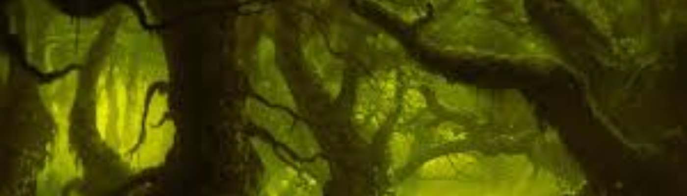 Profile banner image for FireHogg1