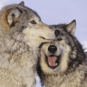 Profile avatar image for jenniewrites