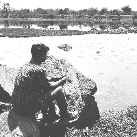 Profile avatar image for skellyton