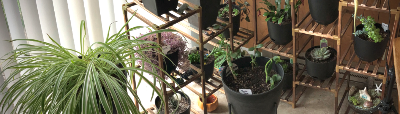 Profile banner image for xJenVanx