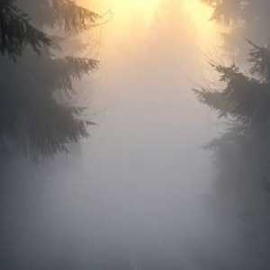 Profile avatar image for Benz