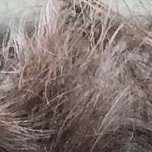 Profile avatar image for Strkissd