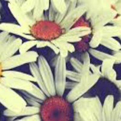 Profile avatar image for Vent_poems